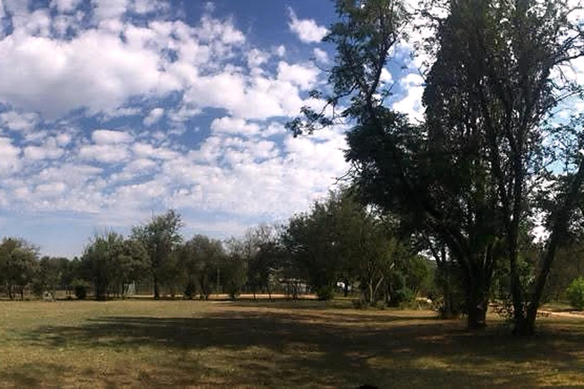 Wide lawn and trees on the A Floor of Dogs property