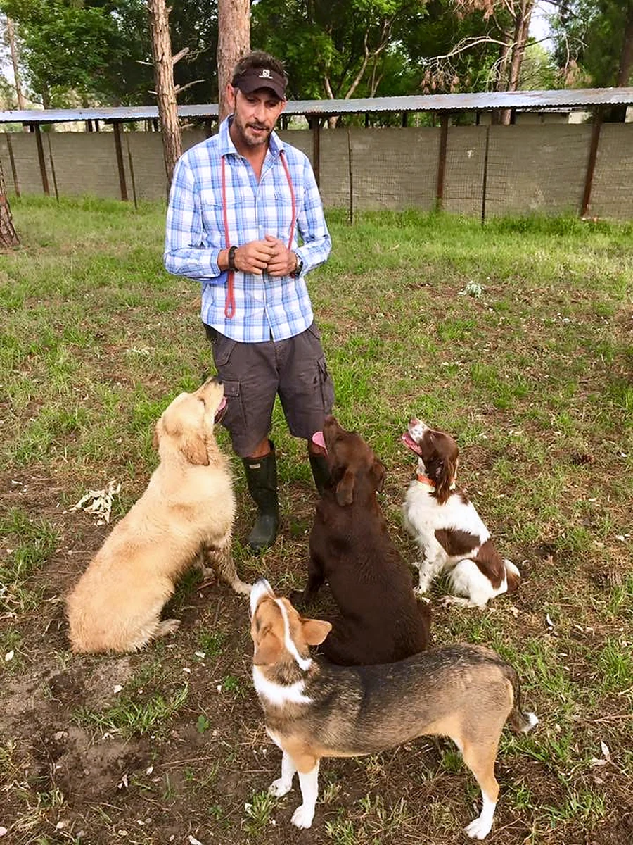 Gareth working with four attentive dogs
